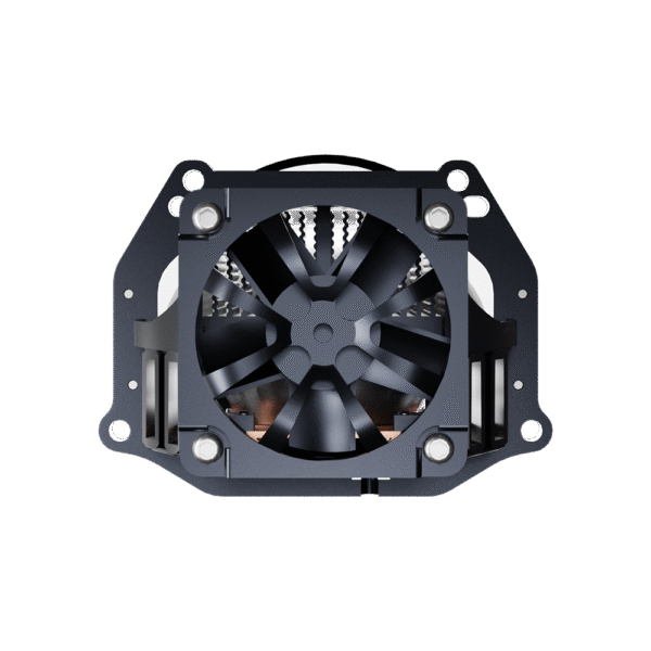 D1 - Image 7