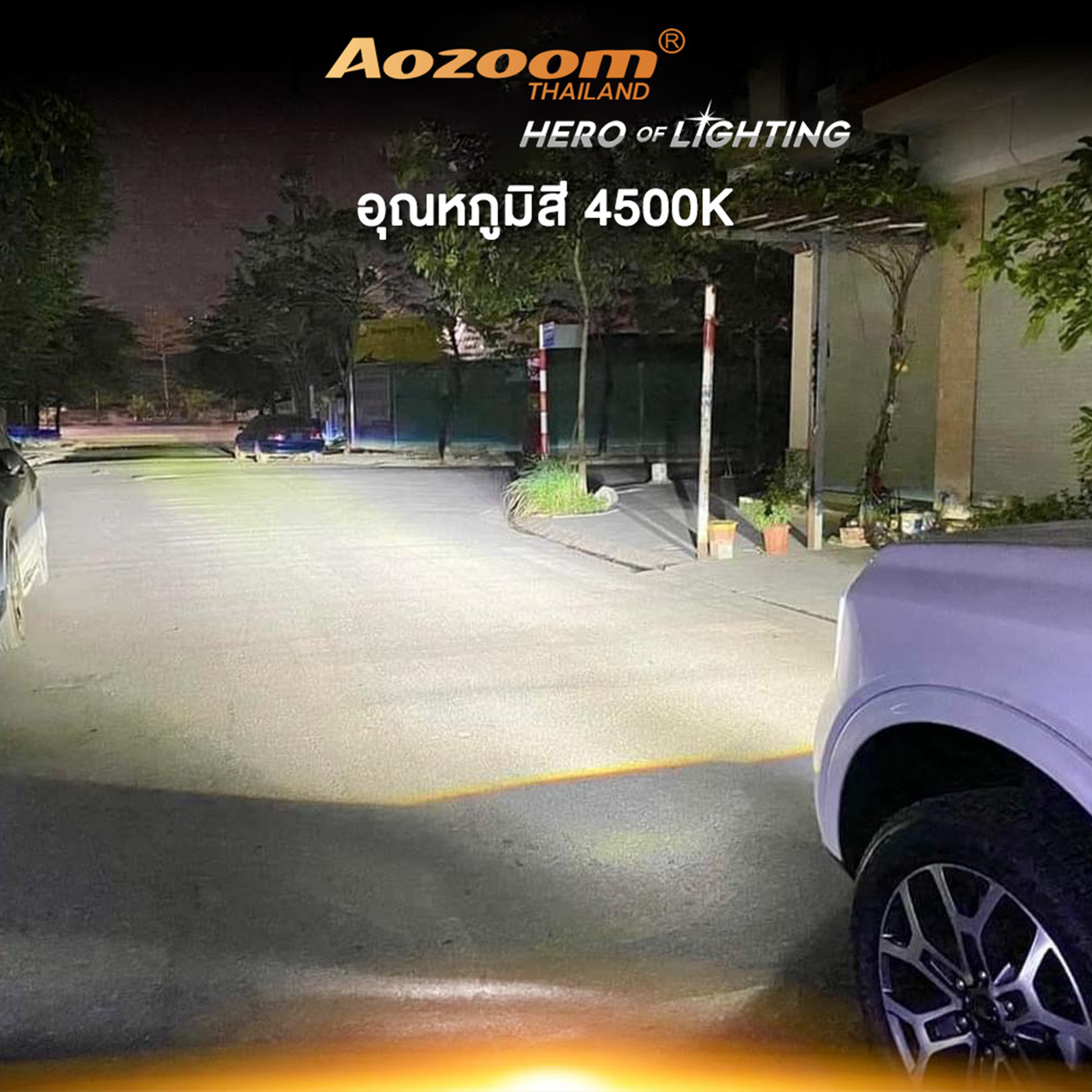 AOZOOM WASP